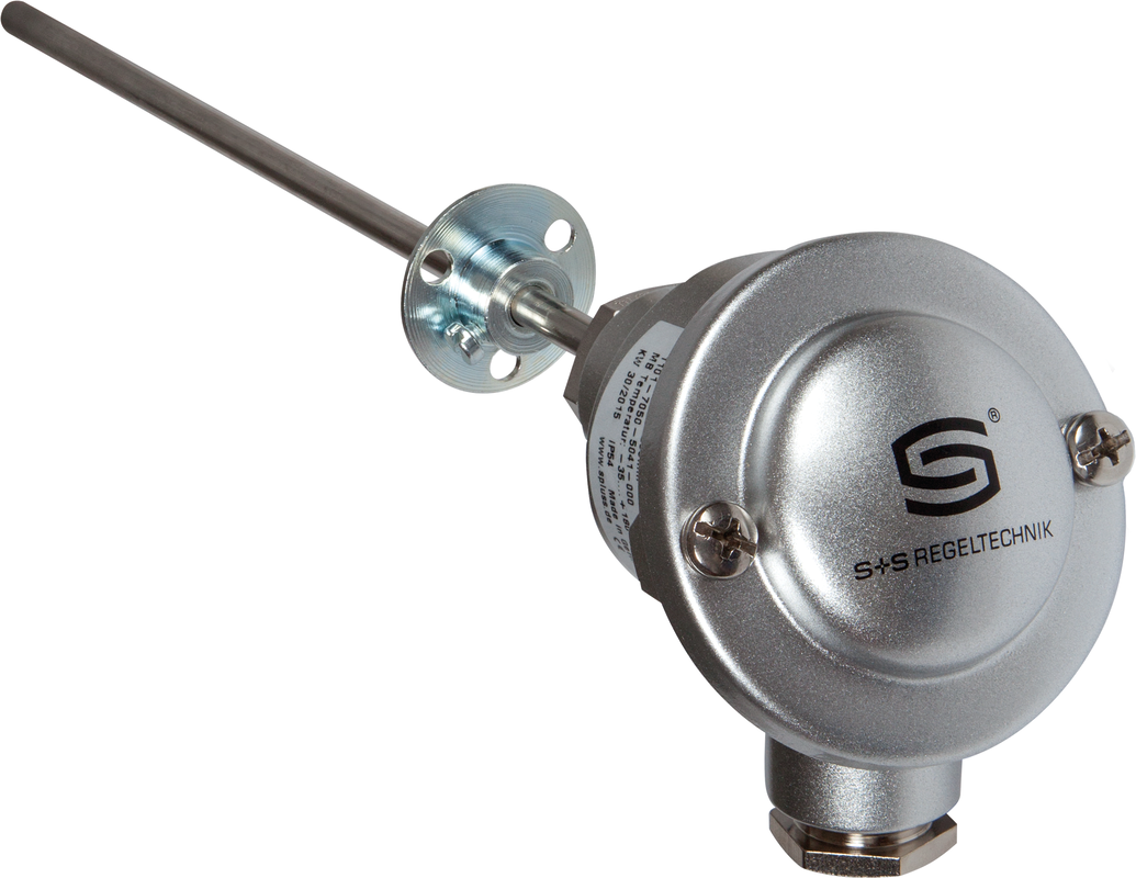 THERMASGARD® RGTF1 Pt1000 250mm