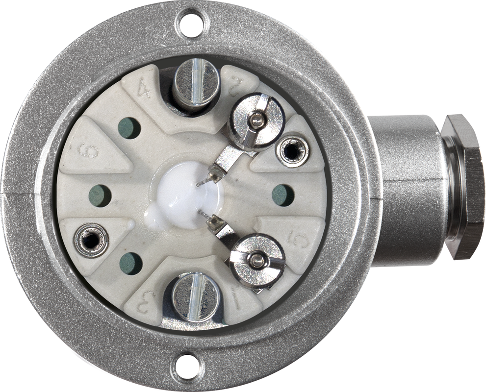 THERMASGARD® RGTF2 Pt100 500/80mm Q