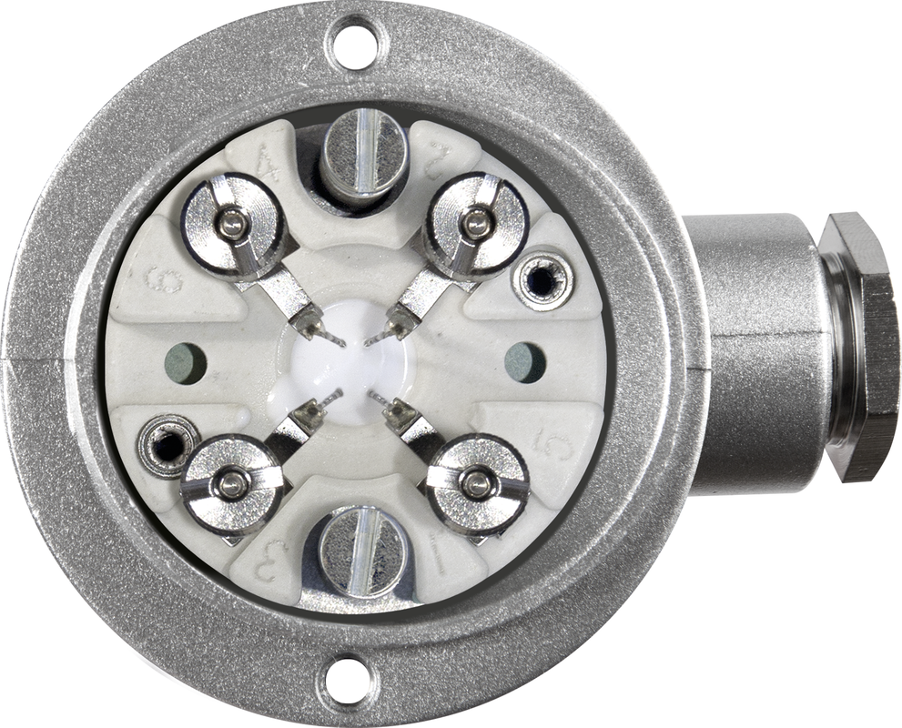 THERMASGARD® TF54 Pt100 300mm KV