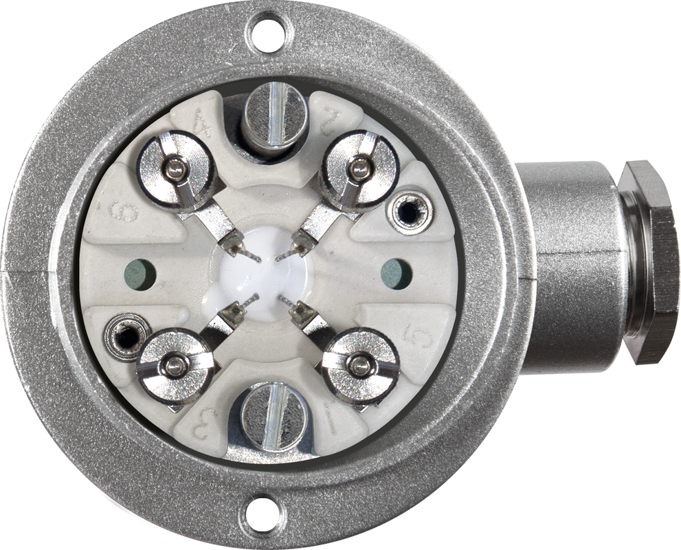 THERMASGARD® RGTF1 Pt100 200mm